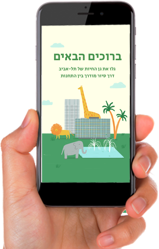 TAZOO AR app on phone